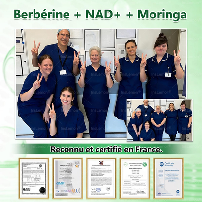 Magasin Officiel |𝐈𝐧𝐬𝐋𝐞𝐦𝐨𝐧® Moringa & Bérbérine 10-en-1 Patch Nanomicro-aiguilles Avancé👩🏻🌸 (Une application quotidienne, résultats visibles en 7 jours) 🌱 Obésité, Diabète, Apnée du sommeil, Problèmes articulaires🚚