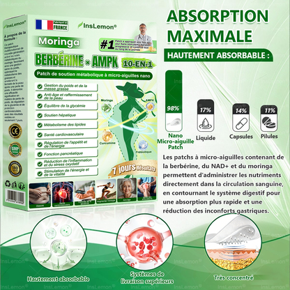 Magasin Officiel |𝐈𝐧𝐬𝐋𝐞𝐦𝐨𝐧® Moringa & Bérbérine 10-en-1 Patch Nanomicro-aiguilles Avancé👩🏻🌸 (Une application quotidienne, résultats visibles en 7 jours) 🌱 Obésité, Diabète, Apnée du sommeil, Problèmes articulaires🚚