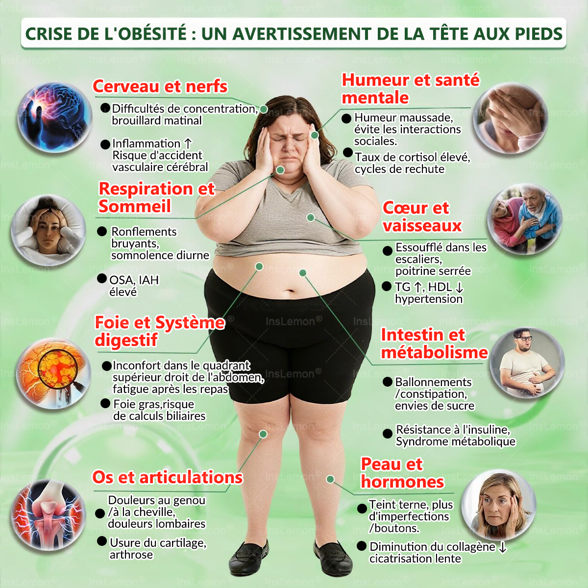 Magasin Officiel |𝐈𝐧𝐬𝐋𝐞𝐦𝐨𝐧® Moringa & Bérbérine 10-en-1 Patch Nanomicro-aiguilles Avancé👩🏻🌸 (Une application quotidienne, résultats visibles en 7 jours) 🌱 Obésité, Diabète, Apnée du sommeil, Problèmes articulaires🚚