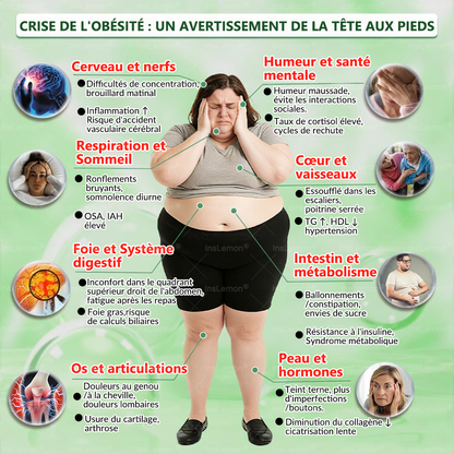 Magasin Officiel |𝐈𝐧𝐬𝐋𝐞𝐦𝐨𝐧® Moringa & Bérbérine 10-en-1 Patch Nanomicro-aiguilles Avancé👩🏻🌸 (Une application quotidienne, résultats visibles en 7 jours) 🌱 Obésité, Diabète, Apnée du sommeil, Problèmes articulaires🚚