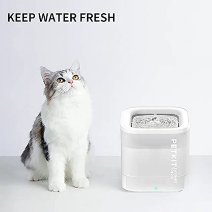 PETKIT 63oz/1.85L Pet Water Fountain for Cats and Small Dogs Super Quiet Hygienic Auto Power-Off Cat Water Dispenser